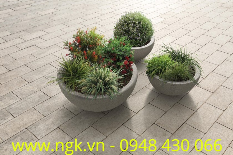 chậu hoa composite cao cấp