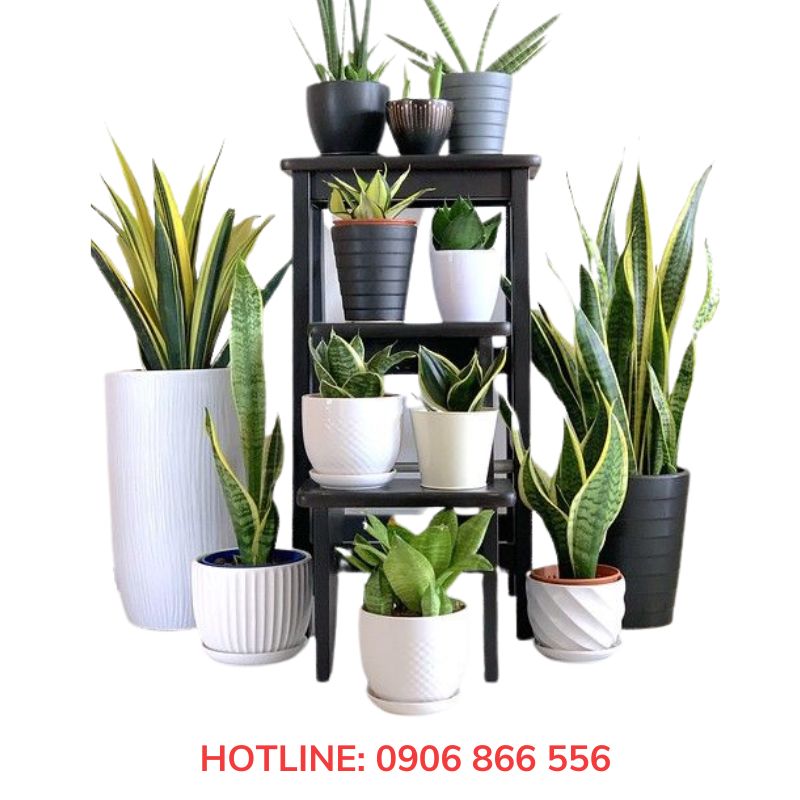 Chậu nhựa composite hình tròn & trái xoan